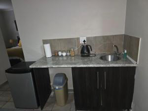 a kitchen counter with a sink and a trash can at Fantasy Farmyard Guest House in Randfontein +1 photo
