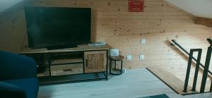 a living room with a flat screen tv on a wooden wall at duplex de charme de 70m2 in Margencel