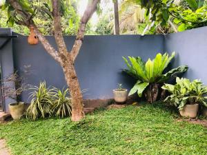Giardino di 360 Lotus Hostel Tangalle and Cowork