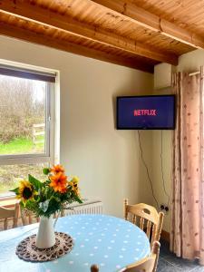 Televiisor ja/või meelelahutuskeskus majutusasutuses Hill View House