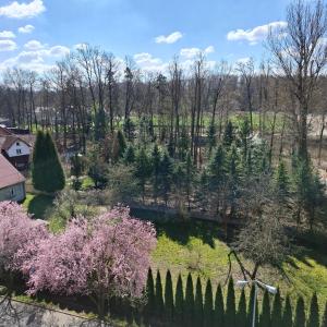una vista aérea de un jardín con árboles y un puente en Apartament Pastelowy, en Cracovia