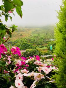 Imagen de la galería de Nhà Hoa Nắng Homestay Cầu Đất Đà Lạt, en Xuân Trường