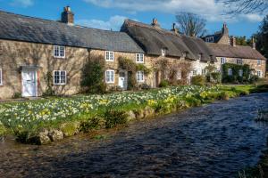 a row of stone cottages next to a river at The Richmond Bed and Breakfast - Adults only in Shanklin