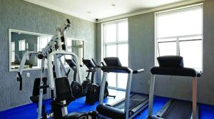 Fitness centrum a/nebo fitness zařízení v ubytování HOTEL PERDIZES - FLAT Executivo - 1206