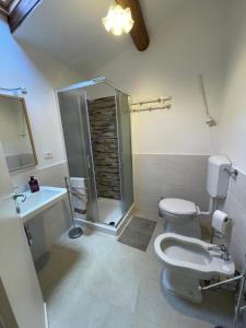 a bathroom with a shower and a toilet and a sink at SO MAGIC - La casa nel bosco in San Godenzo +67 photos