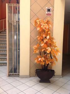 Fotografie z fotogalerie ubytování Plaza Jardin v destinaci Tequila
