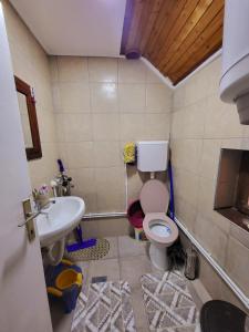 a bathroom with a toilet and a sink at Smestaj Bojanine Vode in Niš +18 photos