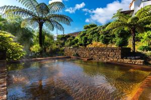 una piscina en un jardín con palmeras en Apartamento Centro das Furnas, en Furnas