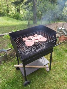 Εγκαταστάσεις μπάρμπεκιου για όλους τους επισκέπτες της παραθεριστικής κατοικίας +67 φωτογραφίες