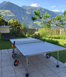 Una mesa de ping pong azul con montañas al fondo en Waldoase, en Scena