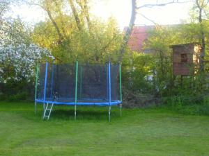 ein blaues Trampolin im Gras im Hof in der Unterkunft Ferienwohnung Am Jakobsweg in Frielendorf