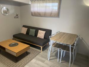 Χώρος καθιστικού στο Appartement F2 proche Futuroscope +8 φωτογραφίες