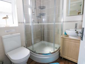 a bathroom with a shower and a toilet and a sink at Heddwch in Stepaside +29 photos