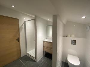 a bathroom with a shower and a toilet and a sink at Les Ricochets in Coutenson