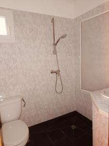 a bathroom with a shower and a toilet and a sink at Les Tourterelles in Cadolive