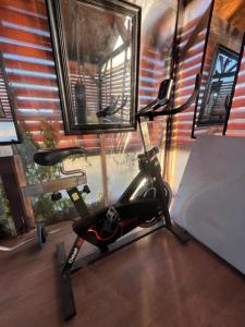 Fitness centrum a/nebo fitness zařízení v ubytování Cabañas Campestres El Sauce