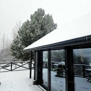Lakefront cottage with jacuzzi talvel