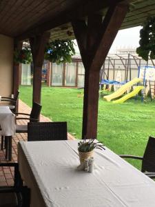 Foto dalla galleria di Hotel Coral a Valea Lupului Altre 85 foto