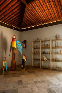 a room with three different types of birds on display at Baía Branca Beach Resort in Tamandaré