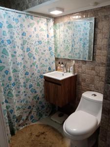 a bathroom with a toilet and a sink and a shower at Departamento en playa blanca in Antofagasta