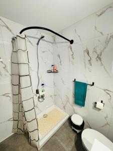 a bathroom with a shower and a toilet and a tub at Apartamento centro de Nájera in Nájera