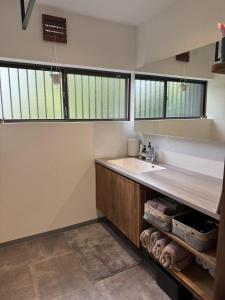 a bathroom with a sink and two windows at GREEN ViLLA南大阪 in Mikkaichi