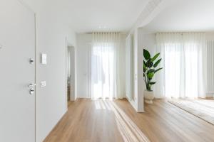 a white living room with a potted plant and windows at NUOVO Luminoso 36 Giardino - Treviso Venice in Treviso +18 photos