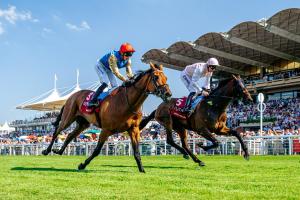 two jockeys riding on horses at a horse race at High Trees in Chichester