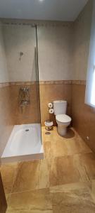 Un baño con ducha, inodoro y bañera. en Villa Beatriz, en Pulgar 15 fotos más