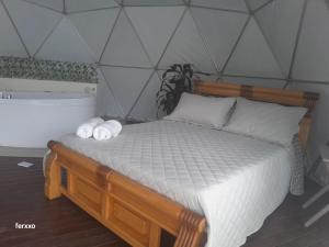 Afbeelding uit fotogalerij van La Quinta Dimensión Glamping in Guatapé