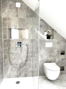 a bathroom with a shower and a toilet at Play-LuXX, Zirndorf Nürnberg in Oberasbach +10 photos