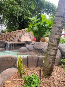 Gallery image of Golden Dolphin Express in Caldas Novas