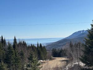 Naturlandskabet i nærheden af chaletet