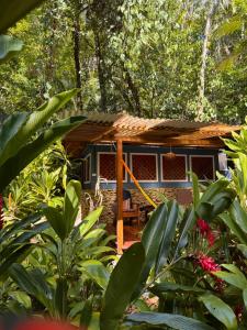a small house in the middle of a forest at Finca Tatin Hotel in Lámpara