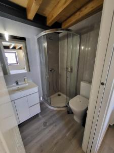 un bagno con doccia e WC di Casa da Avó Ana a Prado Gatão
