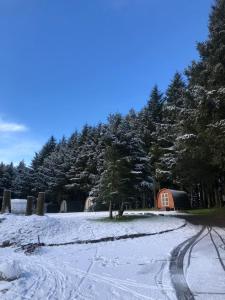 Το Colliford Lake Hotel & Campsite τον χειμώνα