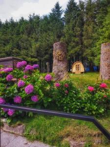 Gallery image of Colliford Lake Hotel & Campsite in Bolventor