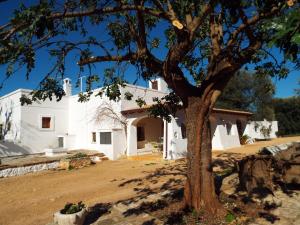 Foto dalla galleria di masseria LAMA DI GALIZIA a Ostuni