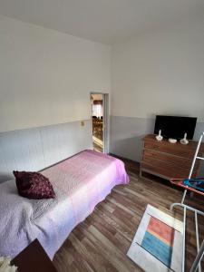 Μια τηλεόραση ή/και κέντρο ψυχαγωγίας στο Bed and Breakfast Omas Huisje +32 φωτογραφίες
