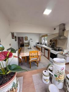 Η κουζίνα ή μικρή κουζίνα στο Bed and Breakfast Omas Huisje