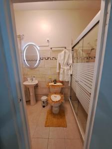 a bathroom with a toilet and a sink and a mirror at Apartament studio Acksen King in Willemstad +17 photos