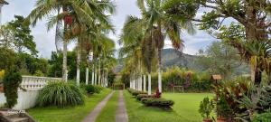 Κήπος έξω από το Finca Villla las Palmas