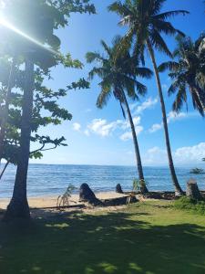 a beach with palm trees and the ocean at Ocean View Villa 1 in General Luna