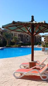 Bassein majutusasutuses شالية ارضي بحديقة خاصة في بلو باي ٱسيا السخنة või selle lähedal +19 fotot