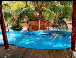 a large blue pool with a palm tree in a yard at Apartment in Finca Mayfran in Xul-Ha