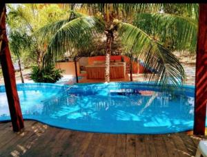 a large blue pool with a palm tree in a yard at Apartment in Finca Mayfran in Xul-Ha