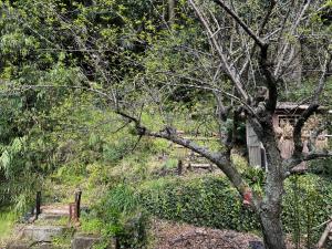 Giardino di 六弥苑