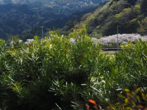 Paesaggio naturale nelle vicinanze dell'affittacamere