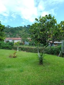 Κήπος έξω από το Casa Victoria +7 φωτογραφίες