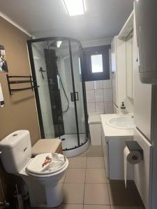 a bathroom with a shower and a toilet and a sink at chaletje tis-ier-goed in Jabbeke
